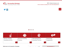 Tablet Screenshot of cerveausys.com
